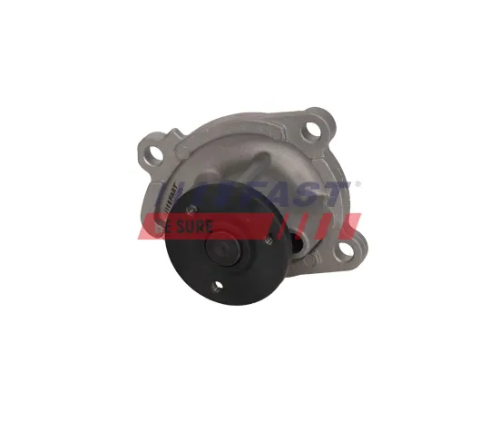 Wasserpumpe, Motorkühlung FAST FT04484 Bild Wasserpumpe, Motorkühlung FAST FT04484