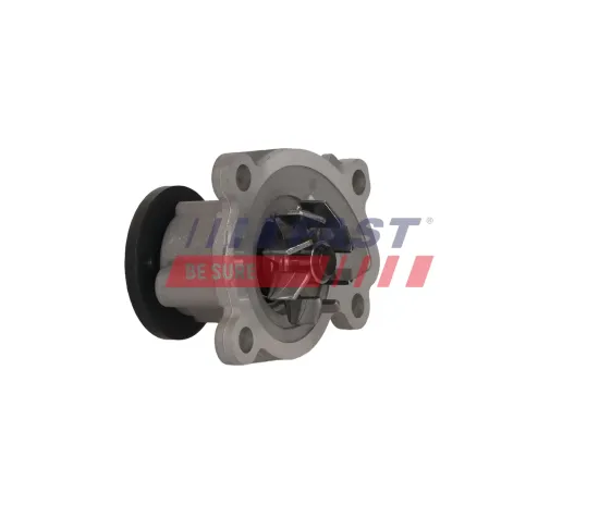 Wasserpumpe, Motorkühlung FAST FT04484 Bild Wasserpumpe, Motorkühlung FAST FT04484