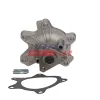 Wasserpumpe, Motorkühlung FAST FT04493 Bild Wasserpumpe, Motorkühlung FAST FT04493