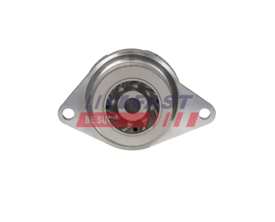 Wasserpumpe, Motorkühlung FAST FT04494 Bild Wasserpumpe, Motorkühlung FAST FT04494