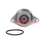 Wasserpumpe, Motorkühlung FAST FT04494 Bild Wasserpumpe, Motorkühlung FAST FT04494