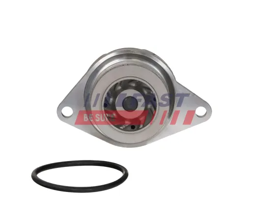 Wasserpumpe, Motorkühlung FAST FT04494 Bild Wasserpumpe, Motorkühlung FAST FT04494