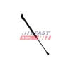 Gasfeder, Koffer-/Laderaum FAST FT04822 Bild Gasfeder, Koffer-/Laderaum FAST FT04822