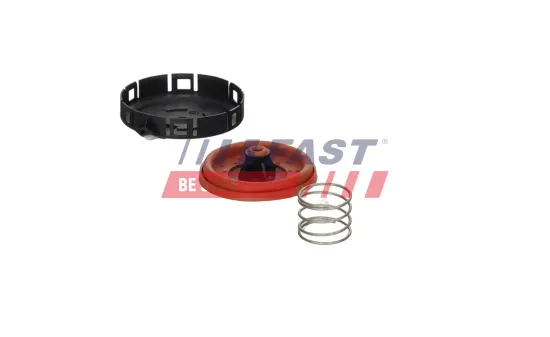 Membran, Kurbelgehäuseentlüftung FAST FT04917 Bild Membran, Kurbelgehäuseentlüftung FAST FT04917