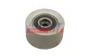 Spannrolle, Keilrippenriemen FAST FT10028 Bild Spannrolle, Keilrippenriemen FAST FT10028