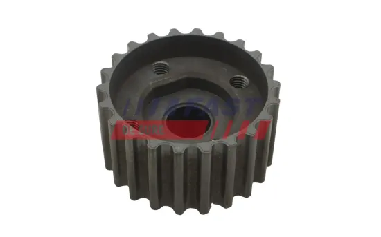 Zahnrad, Kurbelwelle FAST FT10032 Bild Zahnrad, Kurbelwelle FAST FT10032
