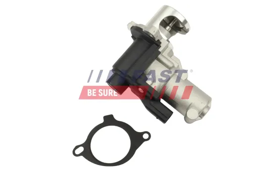 AGR-Ventil FAST FT10064 Bild AGR-Ventil FAST FT10064