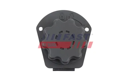 Türgriff, Innenausstattung FAST FT10143 Bild Türgriff, Innenausstattung FAST FT10143