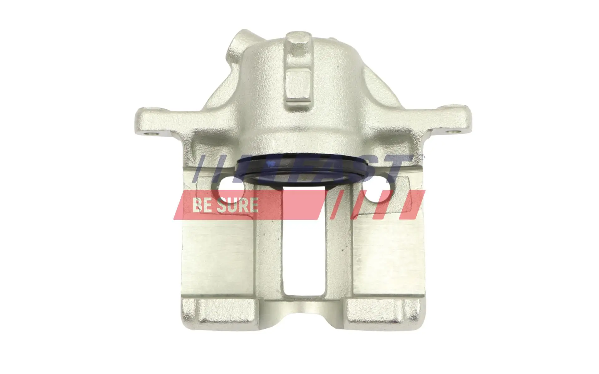 Ladeluftschlauch FAST FT61867