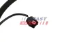 Türschloss hinten links FAST FT10373 Bild Türschloss hinten links FAST FT10373