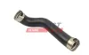 Ladeluftschlauch FAST FT10485 Bild Ladeluftschlauch FAST FT10485