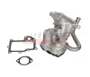 AGR-Ventil 12 V FAST FT10599 Bild AGR-Ventil 12 V FAST FT10599