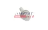 Radschraube FAST FT10670 Bild Radschraube FAST FT10670