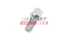 Radschraube FAST FT10671 Bild Radschraube FAST FT10671