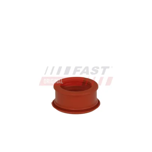 Dichtring, Ladeluftschlauch FAST FT10783 Bild Dichtring, Ladeluftschlauch FAST FT10783