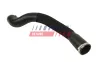 Ladeluftschlauch FAST FT10789 Bild Ladeluftschlauch FAST FT10789