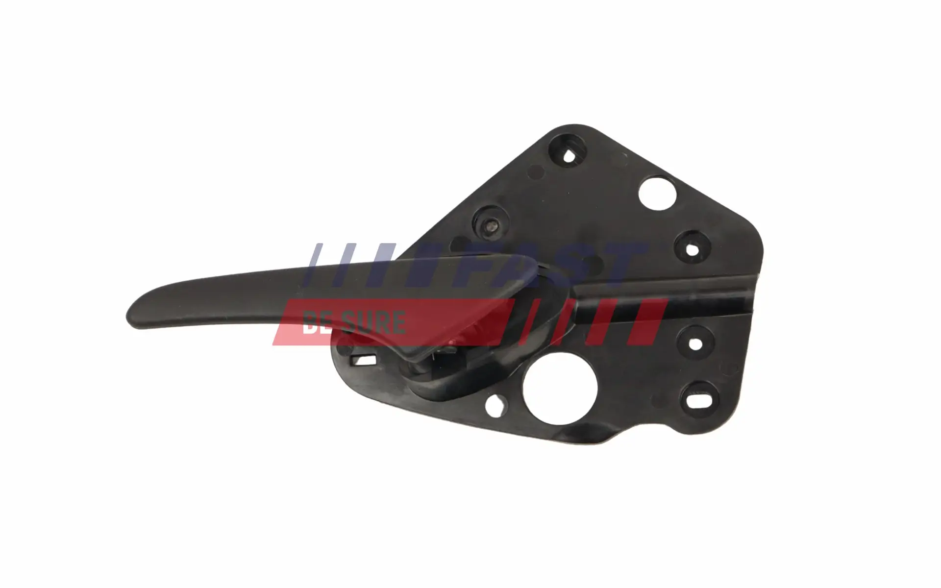 Türgriff, Innenausstattung innen vorne links FAST FT10843