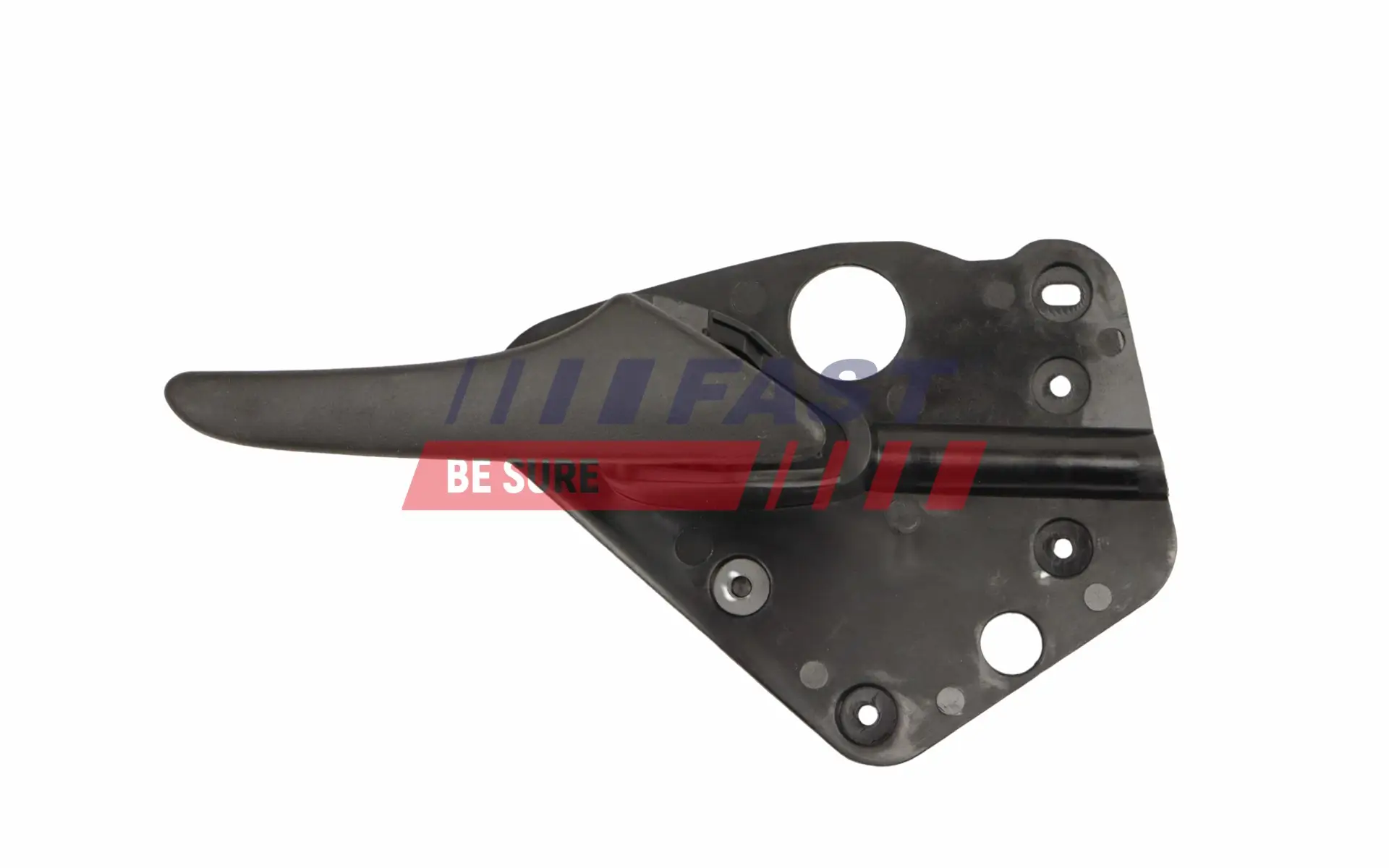 Türgriff, Innenausstattung innen vorne rechts FAST FT10844