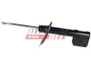 Sto&szlig;d&auml;mpfer Vorderachse links FAST FT11038