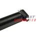 Stoßdämpfer Hinterachse links Hinterachse rechts FAST FT11078 Bild Stoßdämpfer Hinterachse links Hinterachse rechts FAST FT11078