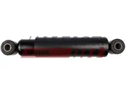 Stoßdämpfer Vorderachse rechts Vorderachse links FAST FT11273