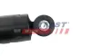 Stoßdämpfer Hinterachse FAST FT11332 Bild Stoßdämpfer Hinterachse FAST FT11332