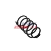 Fahrwerksfeder Hinterachse FAST FT11397 Bild Fahrwerksfeder Hinterachse FAST FT11397