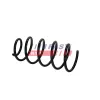 Fahrwerksfeder Hinterachse FAST FT11397 Bild Fahrwerksfeder Hinterachse FAST FT11397