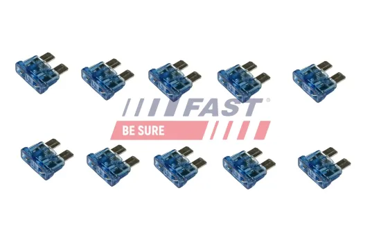 Sicherung FAST FT11431 Bild Sicherung FAST FT11431