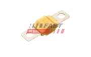 Sicherung FAST FT11477