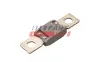 Sicherung FAST FT11478