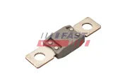 Sicherung FAST FT11478