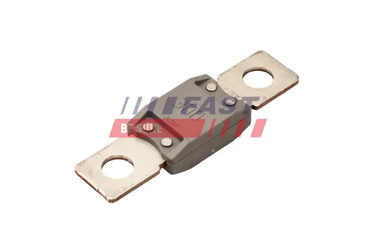 Sicherung FAST FT11478 Bild Sicherung FAST FT11478