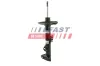 Sto&szlig;d&auml;mpfer Hinterachse FAST FT11518