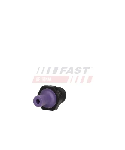 Anschlussstutzen, Zentralausrücker FAST FT11920 Bild Anschlussstutzen, Zentralausrücker FAST FT11920