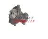 Wasserpumpe, Motorkühlung FAST FT11960 Bild Wasserpumpe, Motorkühlung FAST FT11960