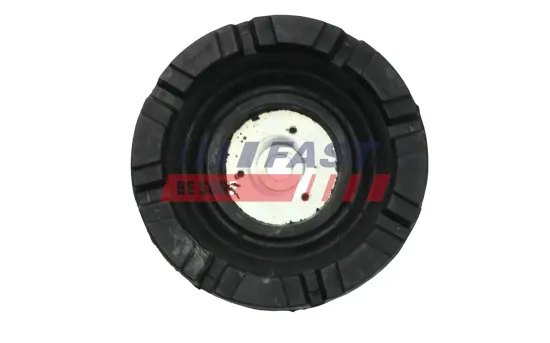 Schlussleuchte links FAST FT86432 Bild Schlussleuchte links FAST FT86432