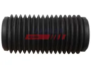 Schlussleuchte rechts FAST FT86403