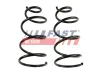 Fahrwerksfeder Vorderachse FAST FT12237K