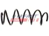 Fahrwerksfeder Vorderachse FAST FT12245