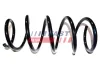 Fahrwerksfeder Vorderachse FAST FT12248 Bild Fahrwerksfeder Vorderachse FAST FT12248