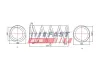 Fahrwerksfeder Vorderachse FAST FT12248 Bild Fahrwerksfeder Vorderachse FAST FT12248