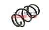 Fahrwerksfeder Vorderachse FAST FT12291 Bild Fahrwerksfeder Vorderachse FAST FT12291