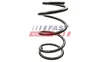 Fahrwerksfeder Vorderachse FAST FT12291 Bild Fahrwerksfeder Vorderachse FAST FT12291