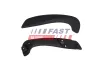 Türgriff, Innenausstattung FAST FT12349 Bild Türgriff, Innenausstattung FAST FT12349