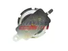 Anschlagpuffer, Federung Hinterachse links Hinterachse rechts FAST FT12619 Bild Anschlagpuffer, Federung Hinterachse links Hinterachse rechts FAST FT12619