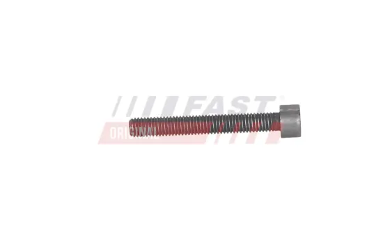Schraube, Einspritzdüsenhalter FAST FT12963 Bild Schraube, Einspritzdüsenhalter FAST FT12963