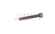 Schraube, Einspritzdüsenhalter FAST FT12963