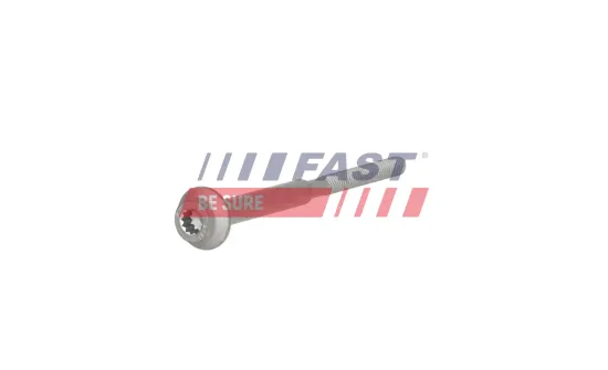Schraube, Einspritzdüsenhalter FAST FT13100 Bild Schraube, Einspritzdüsenhalter FAST FT13100