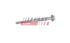 Schraube, Einspritzdüsenhalter FAST FT13100 Bild Schraube, Einspritzdüsenhalter FAST FT13100